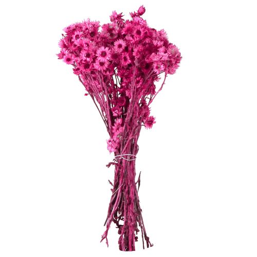 Artikel Mini Halmblomst Pink Tørret Blomst Klippeblomst H20cm 15g