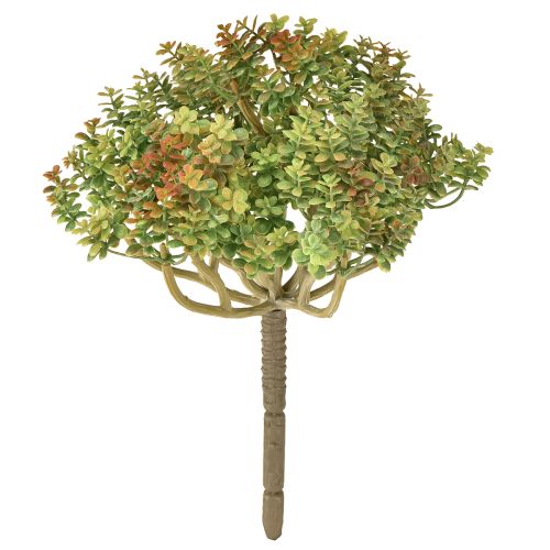Mini sukkulent kunstig grøn kunstig plante med stilk H23cm