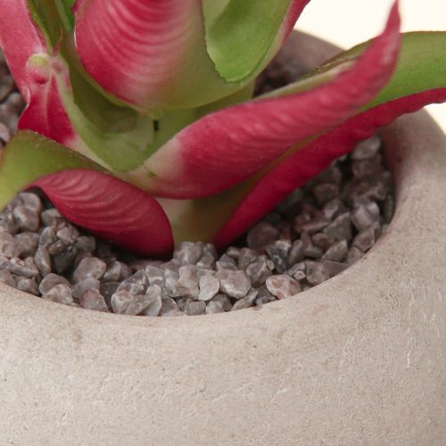Artikel Mini sukkulenter i potte Kunstige planter Dekoration Ø6,5cm 6stk