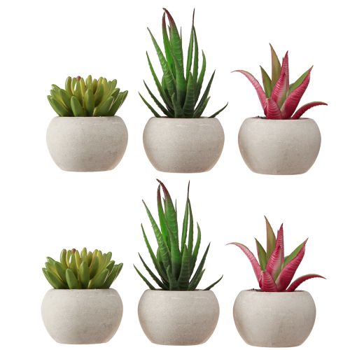 Artikel Mini sukkulenter i potte Kunstige planter Dekoration Ø6,5cm 6stk