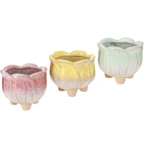 Artikel Mini plantekrukke keramisk potteblomst assorteret Ø8cm H7cm 3stk