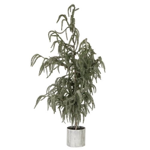 Mini juletræ i potte med sne om vinteren 45x110cm