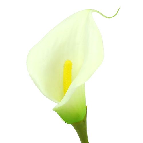 Artikel Mini calla kunsthvid L 28cm 12 stk