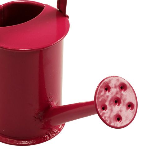 Floristik24 Mini vanding dåser Pink Pink Ø4cm 12st