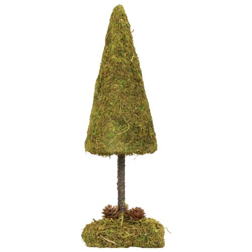 Floristik24 Mini juletræ bordpynt mostræ H30,5cm