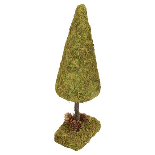 Floristik24 Mini juletræ bordpynt mostræ H30,5cm