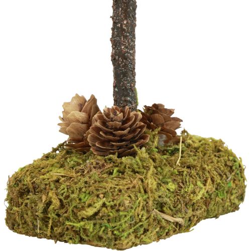 Floristik24 Mini juletræ bordpynt mostræ H30,5cm