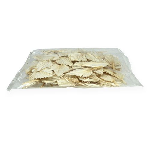 Floristik24 Palmespyd mini kort bleget 50 stk