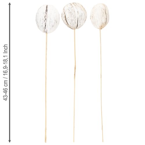 Artikel Mintolla kugle på stavmix hvidkalket 6 stk