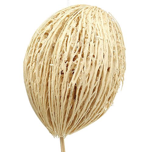 Artikel Mintolla kugle bleget 8cm - 10cm L46cm 6 stk