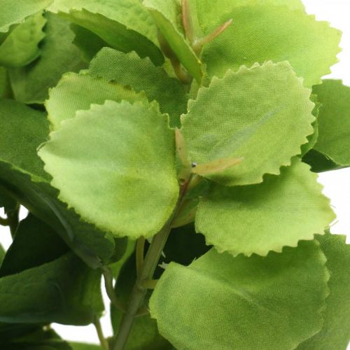 Floristik24 Kunstig mintgrøn, deco myntegrene, silkeblomst L32cm 3stk