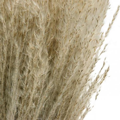 Artikel Tørt græs Miscanthus 55-75cm fjergræs natur 100 stk
