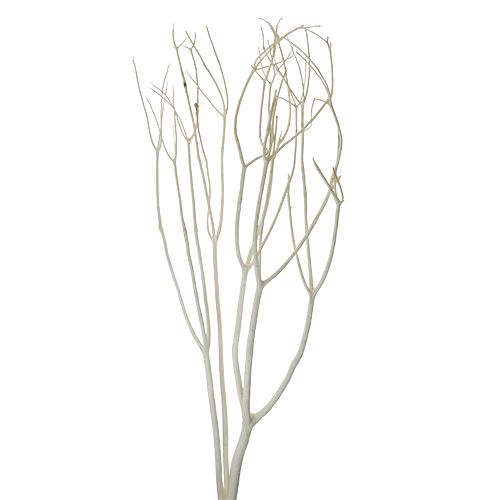 Floristik24 Mitsumata dekorative grene 115cm bleget 3 stk