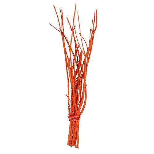 Floristik24 Mitsumata grene orange 34-60cm 12stk