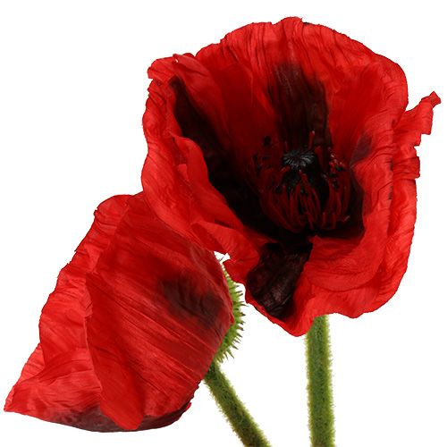 Artikel Valmuerød 58cm - 74cm 3 stk