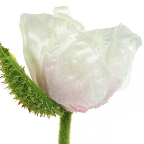 Floristik24 Kunstig valmue, silkeblomst hvid-pink L55/60/70 cm sæt med 3