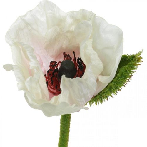 Floristik24 Kunstig valmue, silkeblomst hvid-pink L55/60/70 cm sæt med 3