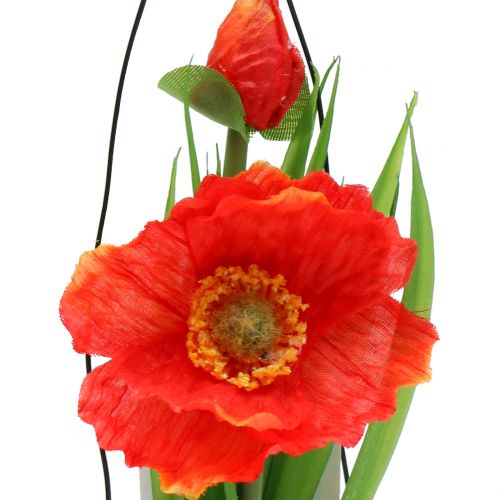 Floristik24 Orange valmue frø i et glas H22cm