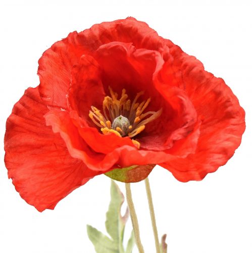Artikel Valmue dekorativ haveblomst med 3 blomster rød L70cm
