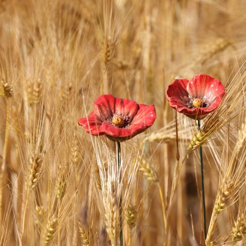 Artikel Keramik Valmueblomst Romantisk Dekoration til Forårshave og Blomsterbede 31 cm 6 stk.