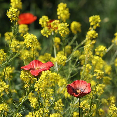 Artikel Havepæl valmue keramik, usædvanligt design til blomsterbede, 52 cm, 2 stk.