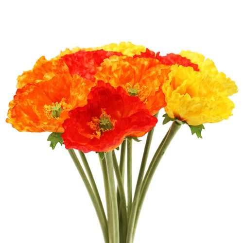Floristik24 Valmuerbuket 33cm