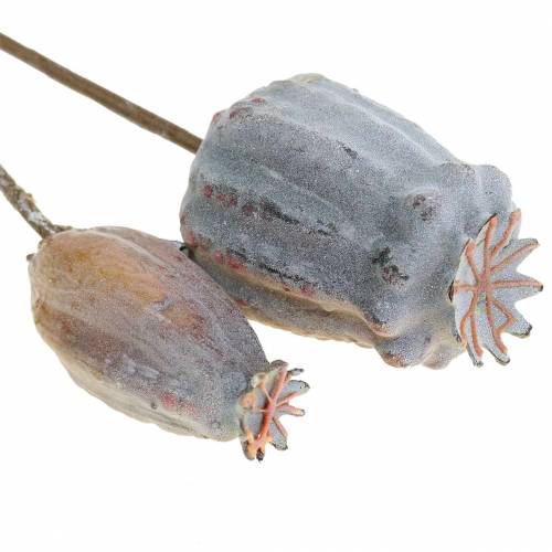 Floristik24 Kunstige valmue kapsler gul, brun 6stk