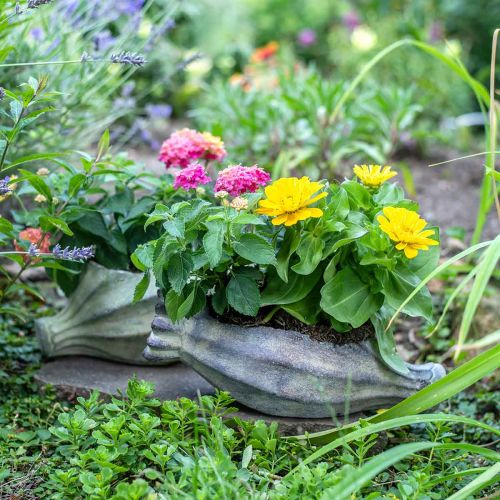 Floristik24 Valmuekapsel til plantning, betondekoration, plantekrukke, havedekoration L29,5cm