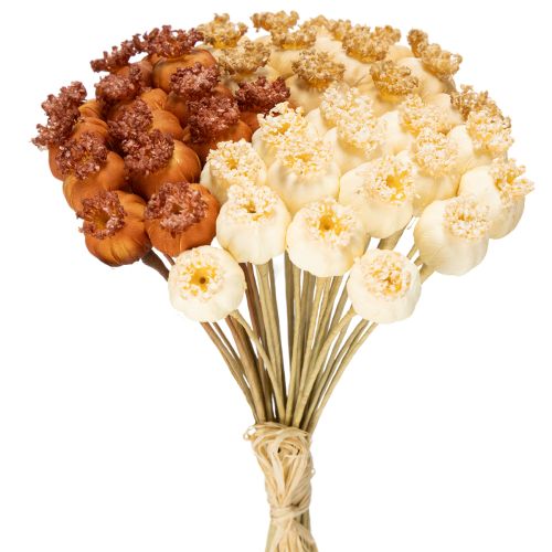 Tørrede kunstige valmuefrøkapsler, bundt med tre farver, 40 cm, 45 stk. købe | Floristik24.dk