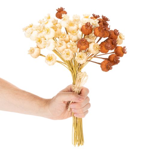 Tørrede kunstige valmuefrøkapsler, bundt med tre farver, 40 cm, 45 stk. | Floristik24.dk