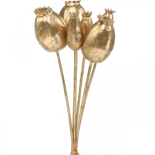 Floristik24 Valmue kapsler dekoration valmue kunstig guld julepynt 38cm 6 stk