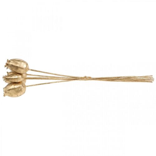 Floristik24 Valmue kapsler dekoration valmue kunstig guld julepynt 38cm 6 stk