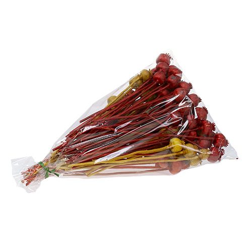 Floristik24 Valmuehoveder 3 farver sorteret 100 stk