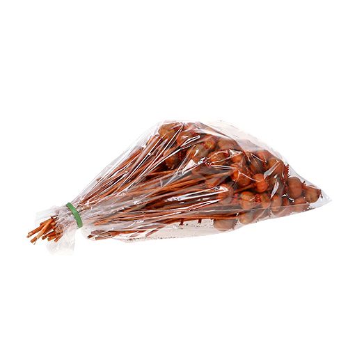 Floristik24 Valmuehoveder farvet orange 100 stk