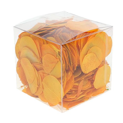 Floristik24 Moneta blade gyldengule 50g