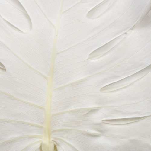 Floristik24 Monstera blade bleget dekorativt vinduesblad H40cm 5 stk