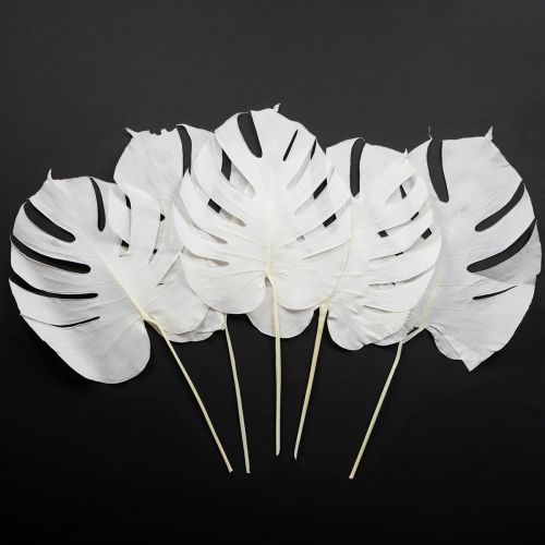 Floristik24 Monstera blade bleget dekorativt vinduesblad H40cm 5 stk