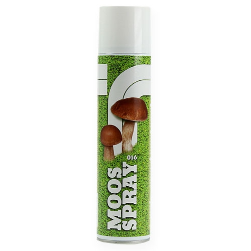 Floristik24 Mosespray 400ml
