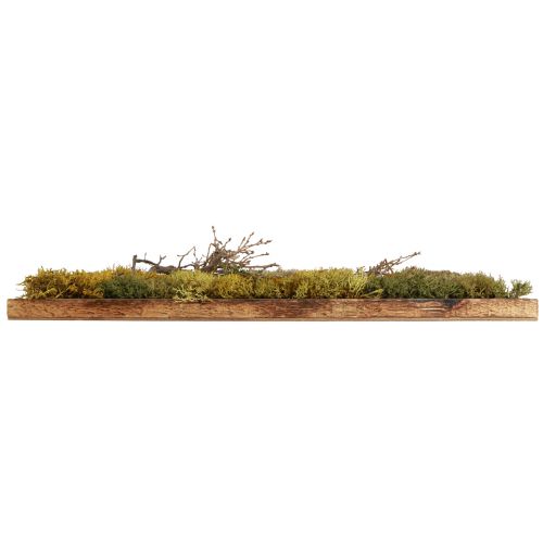 Artikel Mosbillede bevaret ægte mos og naturlige grene 60×40cm