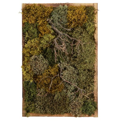 Artikel Mosbillede bevaret ægte mos og naturlige grene 60×40cm