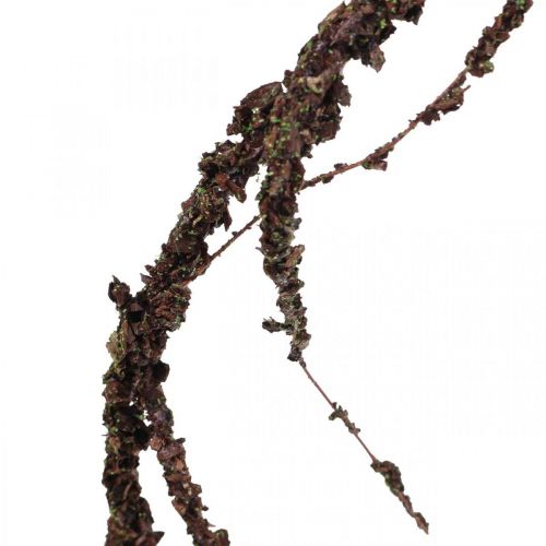 Floristik24 Moss Garland Brun L180cm