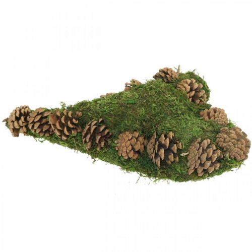 Floristik24 Grav dekoration hjerte mos og kegler arrangement base 30 × 19cm