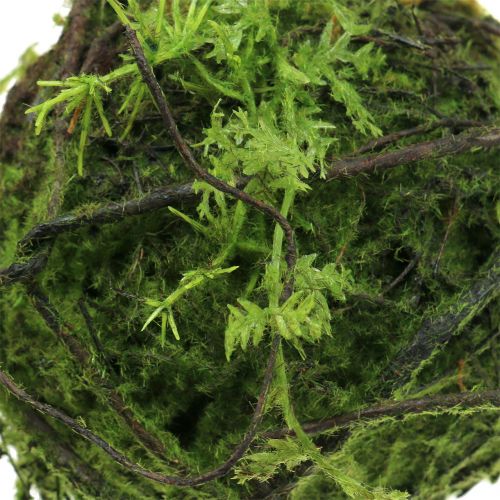 Floristik24 Moskugle Kokedama kunstgrøn Ø13cm