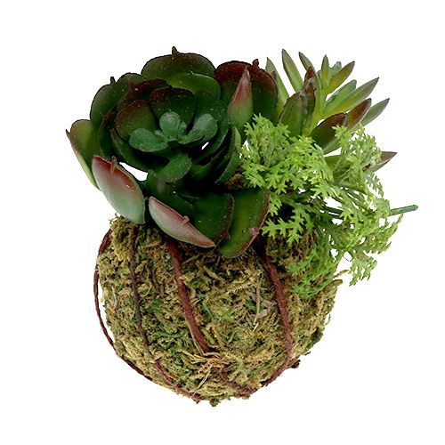 Floristik24 Kokedama kunstgrøn Ø7cm