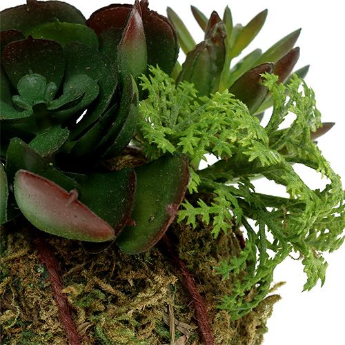 Floristik24 Kokedama kunstgrøn Ø7cm
