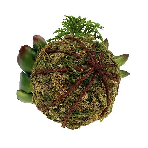 Floristik24 Kokedama kunstgrøn Ø7cm