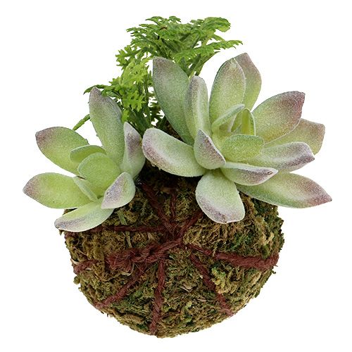 Floristik24 Kokedama kunstgrøn Ø8cm