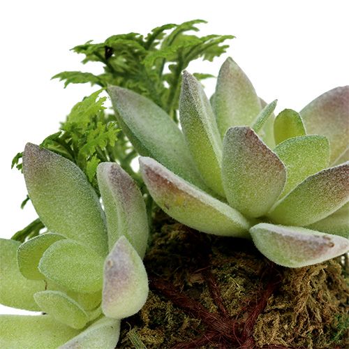 Floristik24 Kokedama kunstgrøn Ø8cm