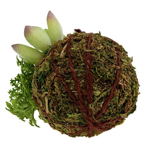 Floristik24 Kokedama kunstgrøn Ø8cm