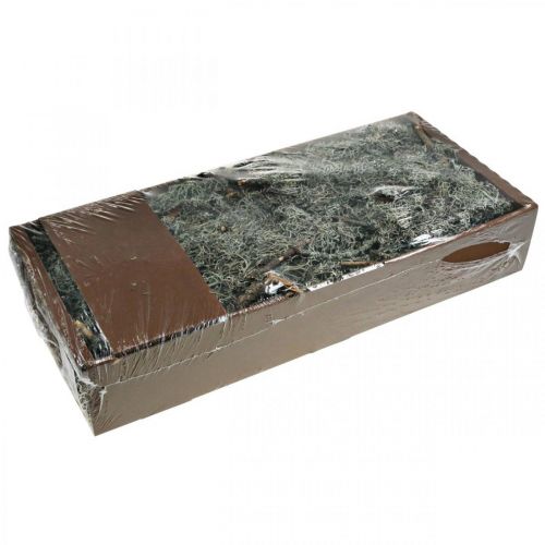 Artikel Deco kviste eg mos mos deco lav naturlig dekoration 750g